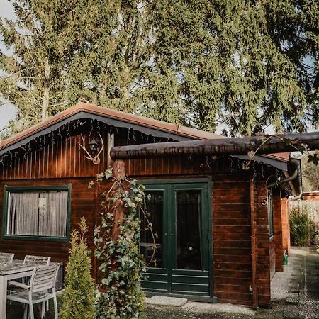 Cosy And Romantic Forest House Met Sauna Op De Veluwe Putten Εξωτερικό φωτογραφία