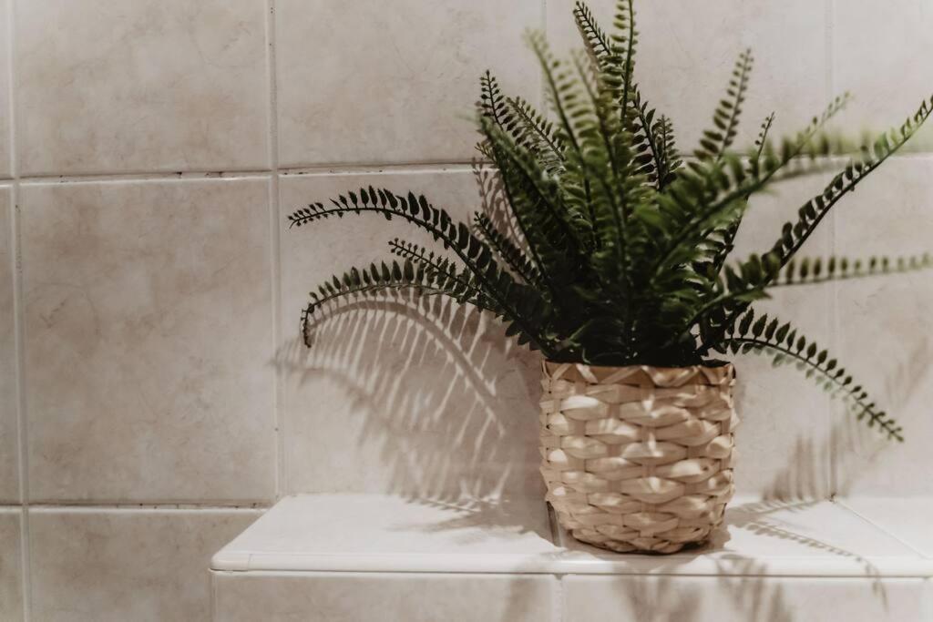 Cosy And Romantic Forest House Met Sauna Op De Veluwe Putten Εξωτερικό φωτογραφία